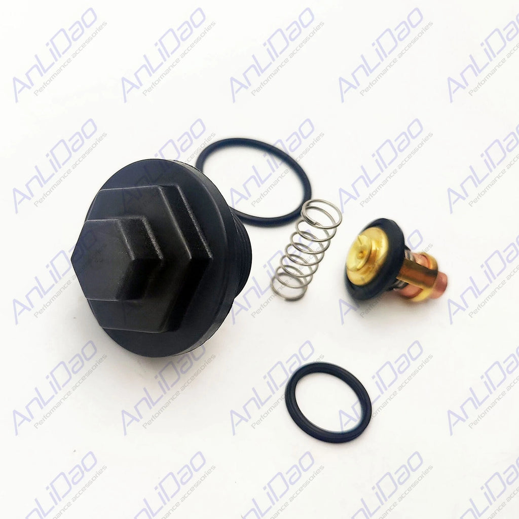 Thermostat Kit for Johnson Evinrude 200-300HP E-TEC FFI (2004–2023) 0344771 344771