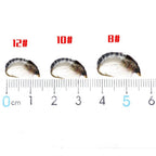 Insect Bait Lure Nymph Scud Set of 4 (8#/10#/12#/14#)