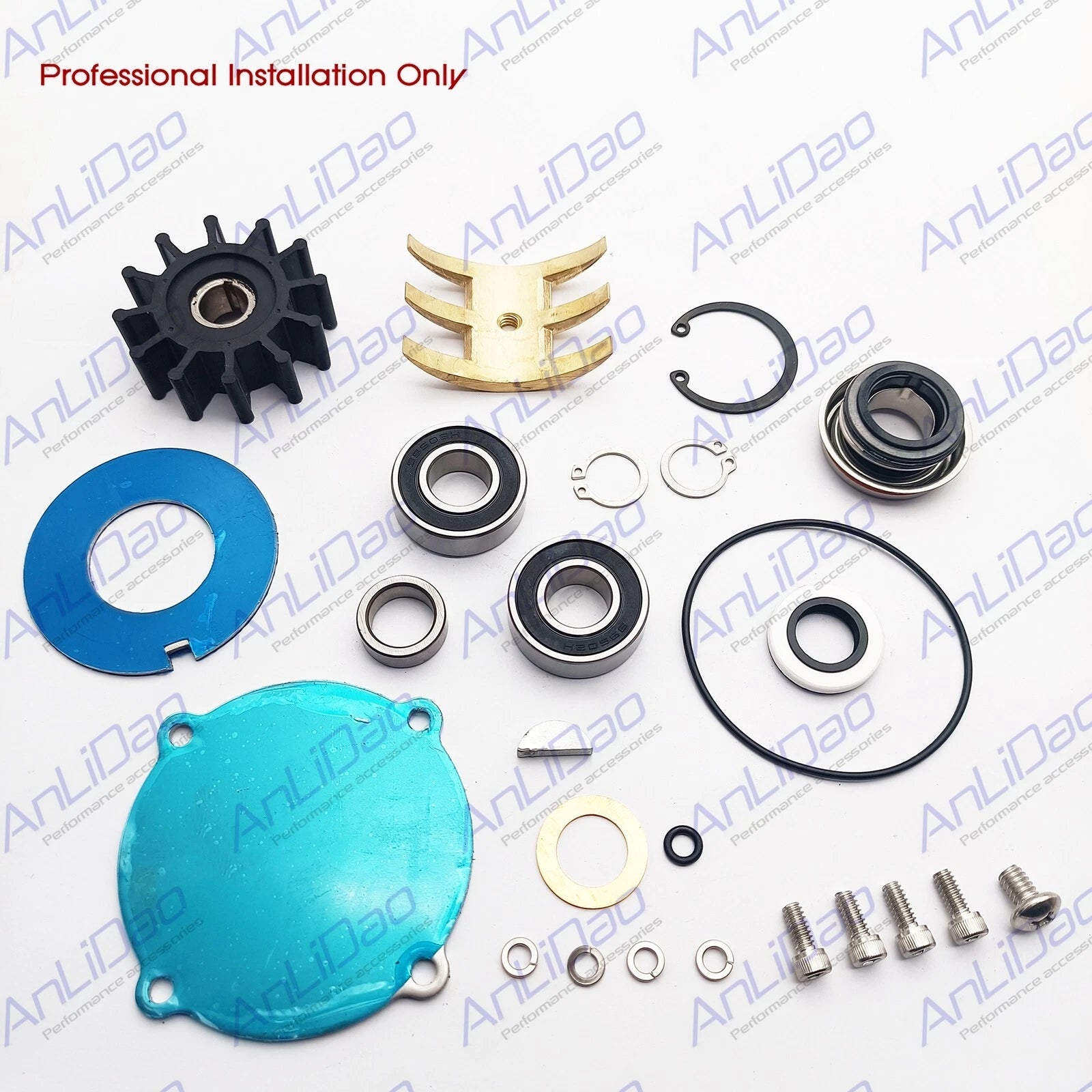 Pump Major Repair Kit for Sherwood P1014 P1015 Pleasurecraft 5.7L GM V8 (RA057031)