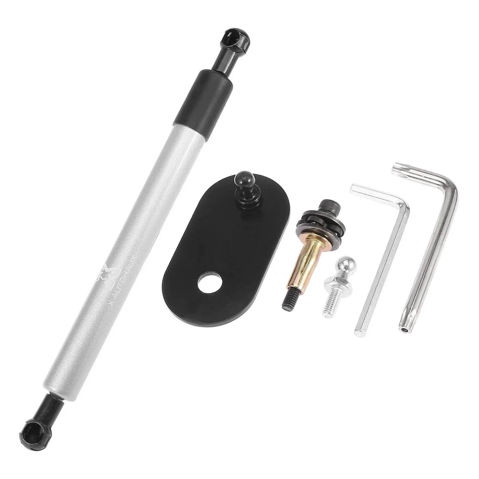 Tailgate Lift Support Set for Dodge Ram  - Rear Gas Springs