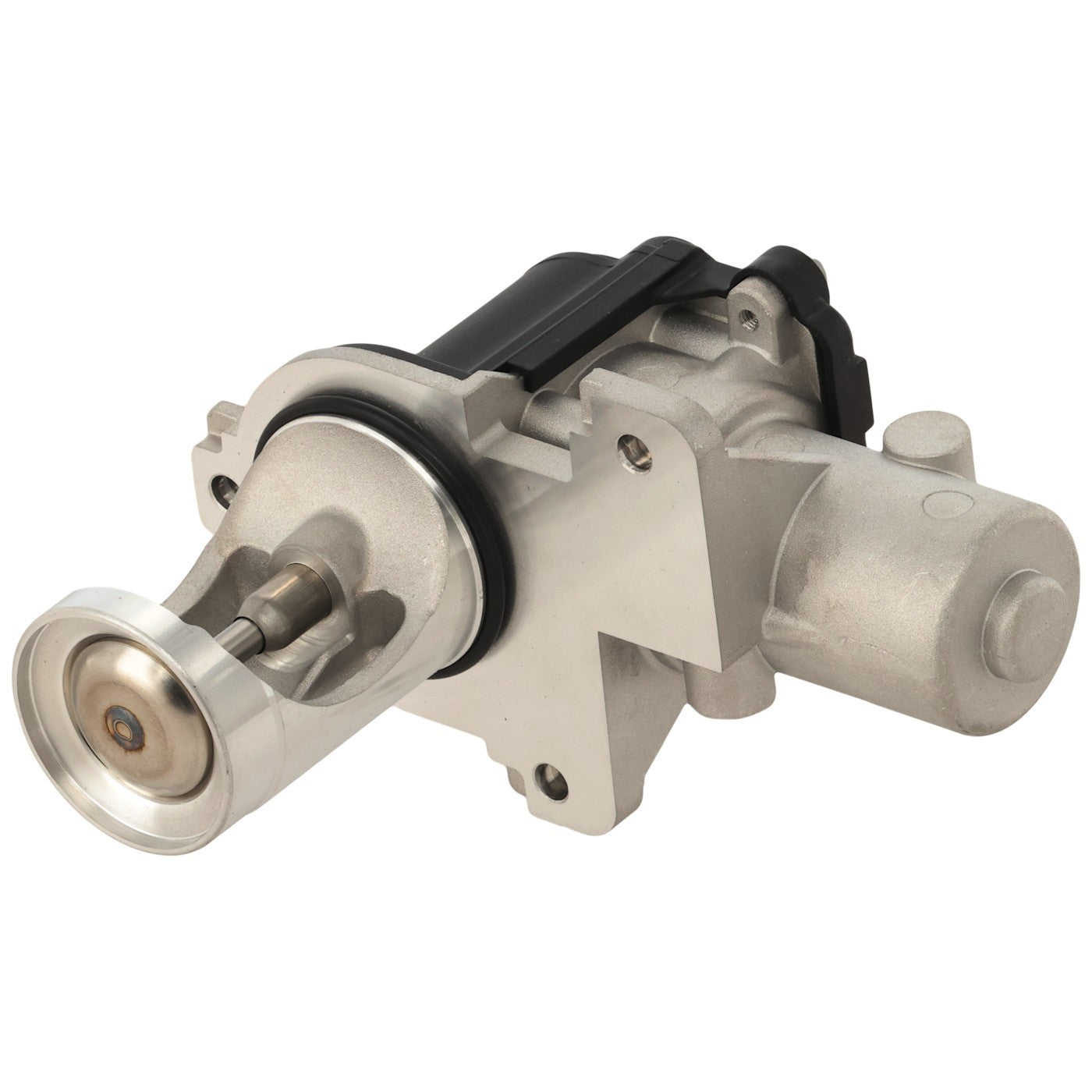 EGR Valve for VW Golf Beetle Jetta Passat (2004–2005)