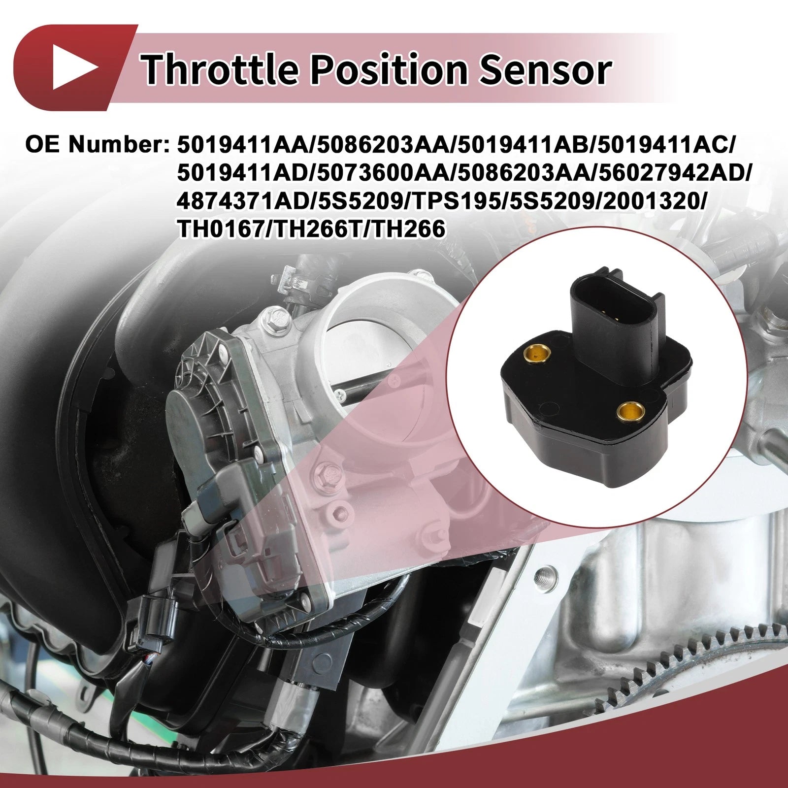 Throttle Position Sensor for Dodge Dakota L4 2.5L (2002) No.5019411AA