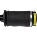 Air Spring Shock and Strut for Mercedes-Benz (Rear Driver or Passenger Side)