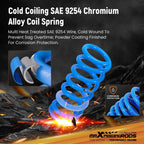 MaXpeedingrods Sport Lowering Springs for Scion xB (2004–2007)
