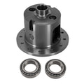 Limited-Slip Posi Differential for GM 8.875" 12 Bolt 30 Spline (3.07-3.90)