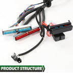 Standalone Wiring Harness for DBC LS1 T56 (1997–2006)