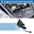Hood Latch Assembly for Toyota Venza (2009–2016) No. 535100T022
