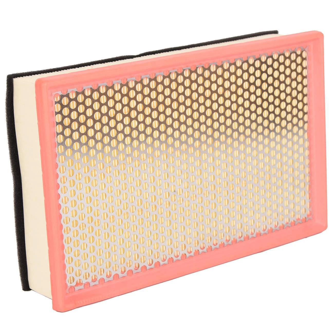 Engine Air Filter for BMW 745i 745Li 750Li 760i 760Li (2002-2008)