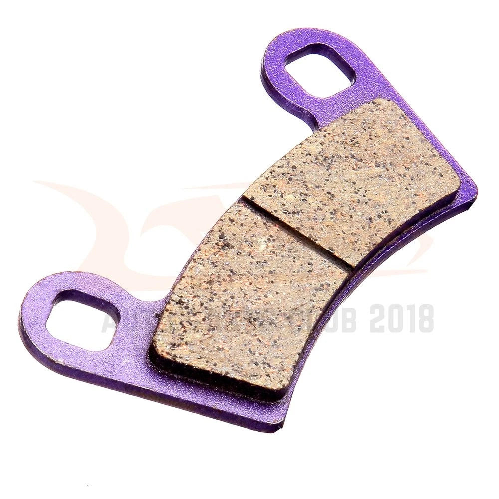 Front Brake Pads for Polaris RZR S Outlaw 450 (2009–2012) - Purple Carbon Fiber