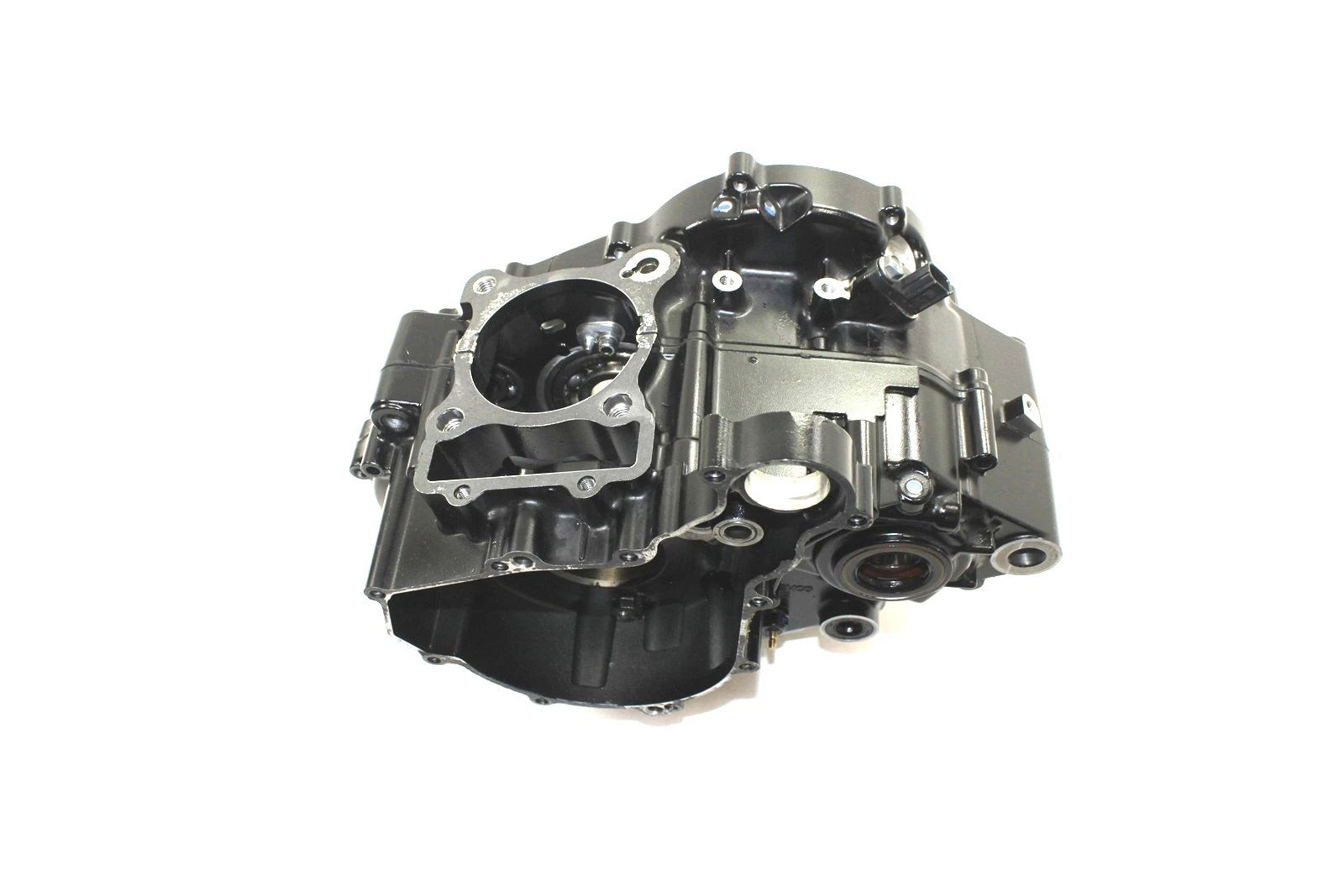 OEM Crank Cases for Kawasaki KLX230 SM (2023) 14101-0004