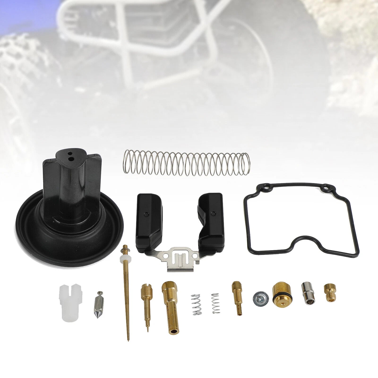 Carburetor Rebuild Repair Kit for 250cc ATV (ATV250, EN250, GP200, GP250, MV30)