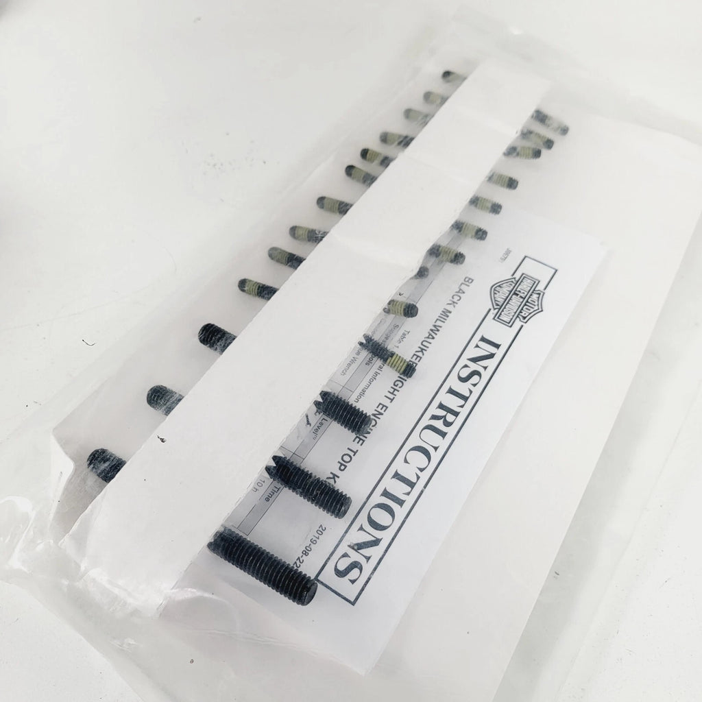Screw Set for Harley-Davidson Softail (2018–2023) 12600271