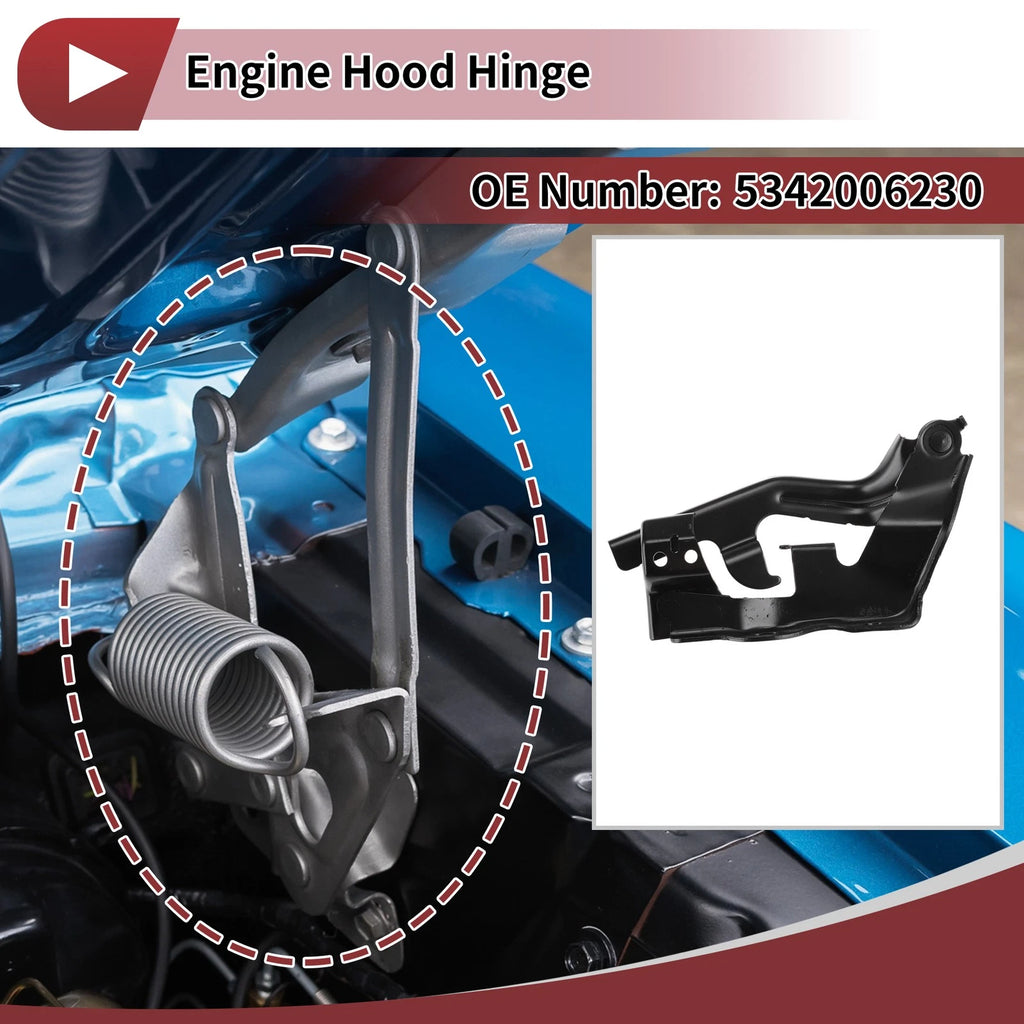 Hood Hinge for Toyota Camry (2002–2021) Left Side 1 pcs