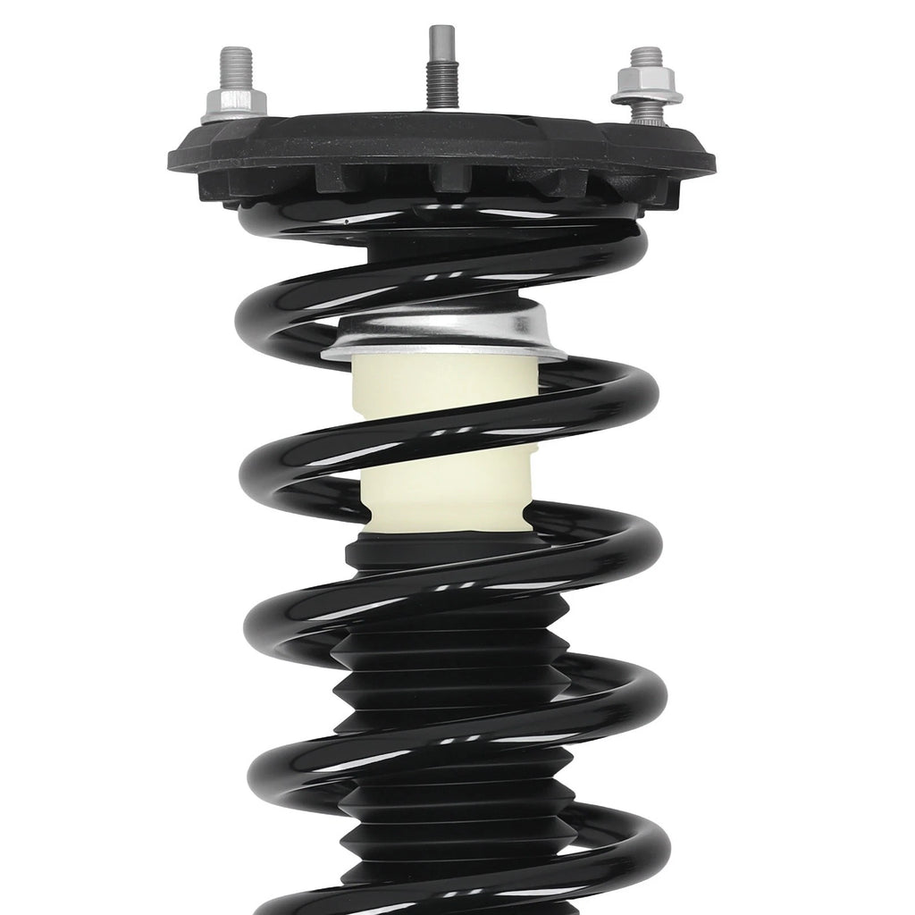 Pair Rear Strut Coil Spring for Nissan Maxima (2000–2003) Infiniti I30 (2000–2001)