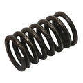 Valve Spring for Super Major (81717773, E1ADDN6513)