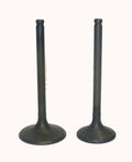 WSM Engine Valve Kit for Honda 350 TRX-FM/TM (2000–2006) - 017-029