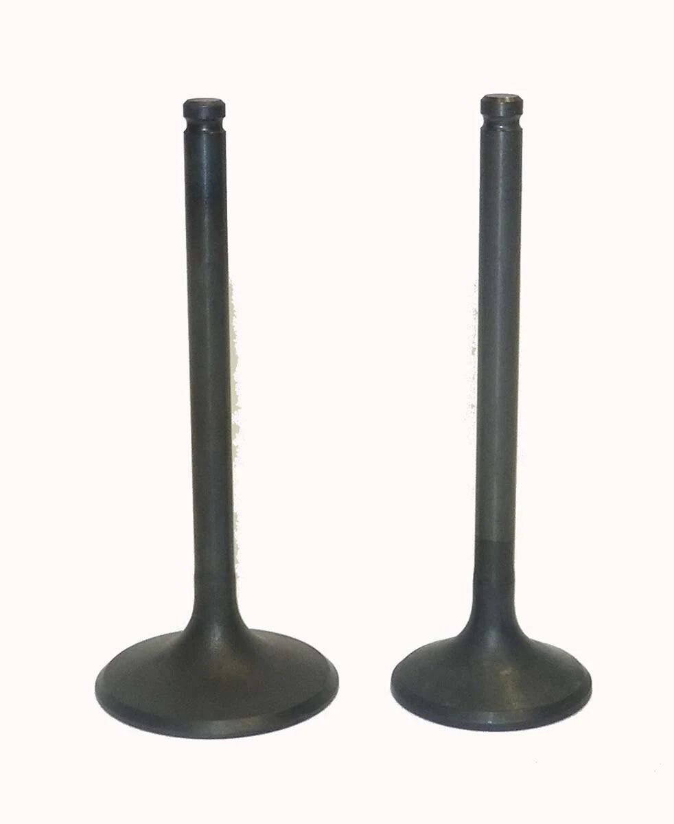 WSM Engine Valve Kit for Honda 350 TRX-FM/TM (2000–2006) - 017-029