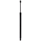 Tailgate Lift Support for Lexus NX250 (2022–2023)