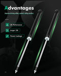 Pair Rear Shocks Absorbers Struts for Honda Civic (2016–2022)