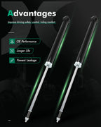 Pair Rear Shocks Absorbers Struts for Honda Civic (2016–2022)