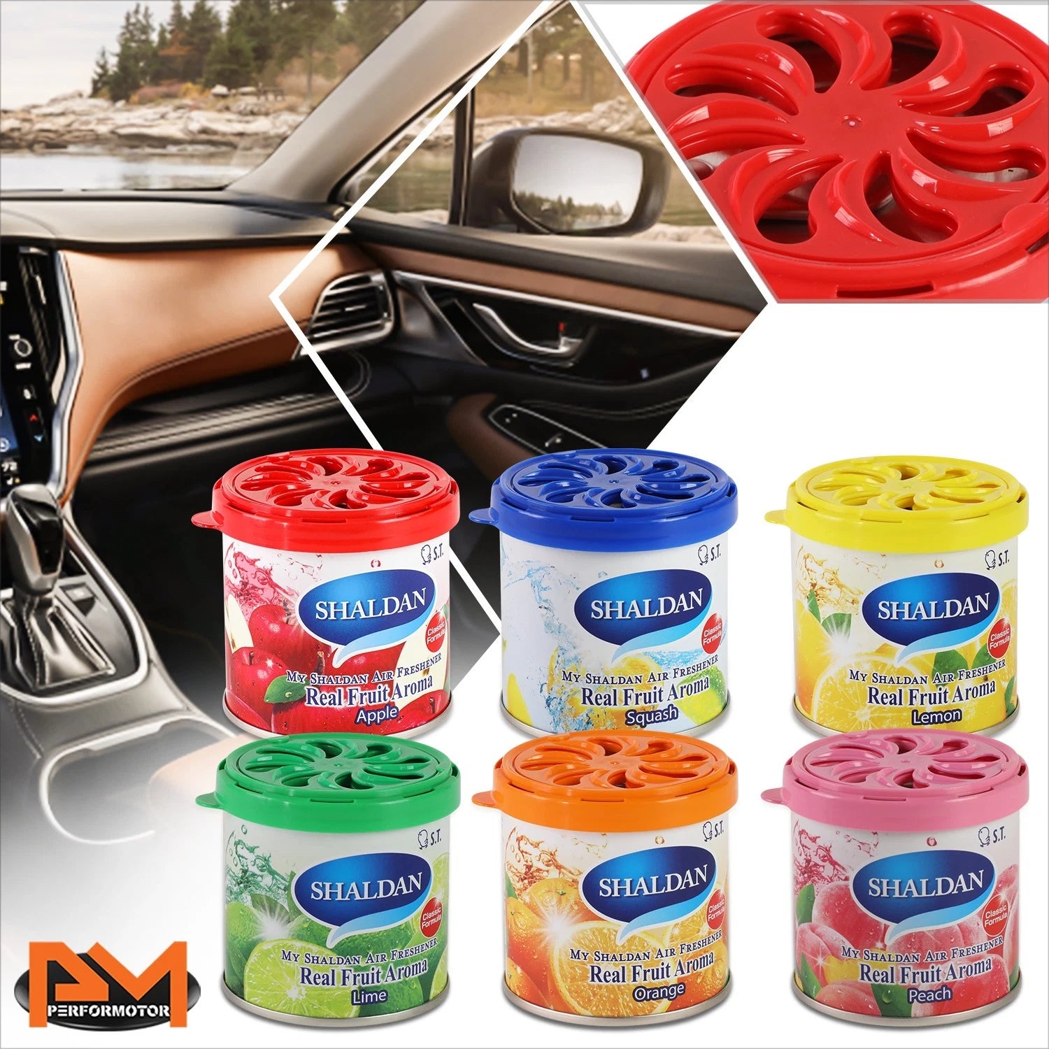 6x Car Air Freshener Deodorant for My Shaldan (80g) - Fruit Scent