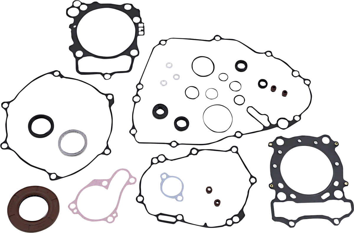 Complete Motor Gasket Kit with Oil Seals for Yamaha (8110029MSE)