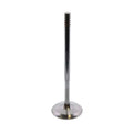 TRW Engine Intake Valve 261142 for