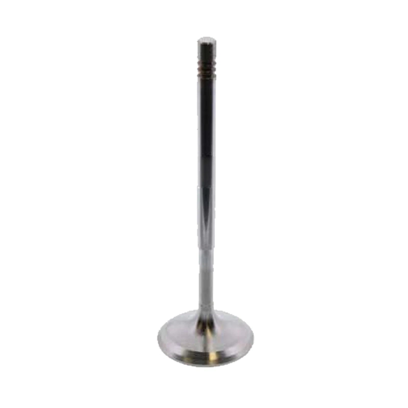 TRW Engine Intake Valve 261142 for