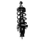 1x Rear Strut w/ Coil Spring Assembly for Honda Civic Si/LX/E (2001–2005)