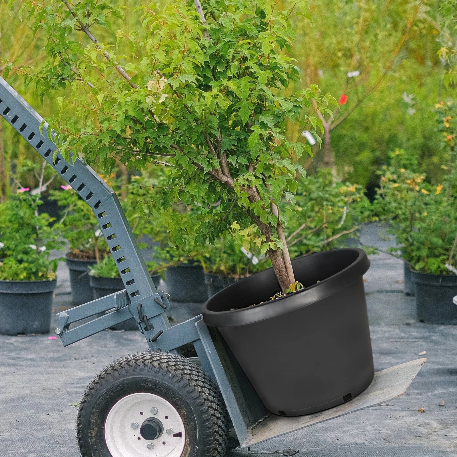 Set of 5 Heavy Duty Black Plastic Nursery Plant Containers