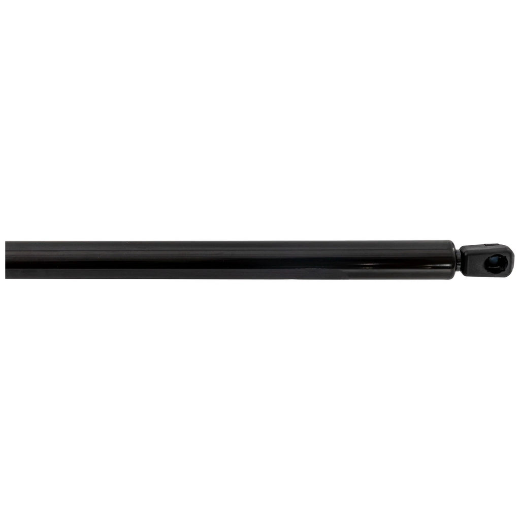 Liftgate Lift Supports for Toyota Sienna (2021–2023)