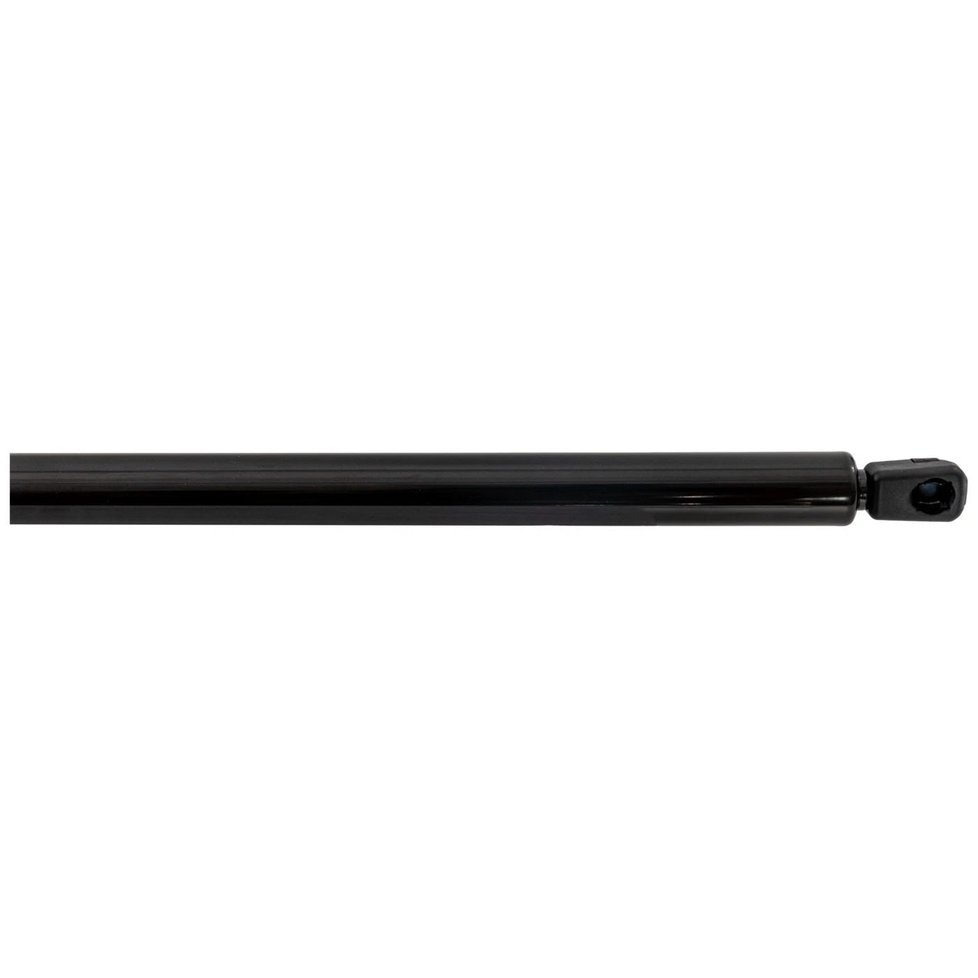 Liftgate Lift Supports for Toyota Sienna (2021–2023)
