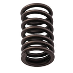 Valve Train Rebuild Kit for Honda Sportrax TRX400EX (1999–2008)