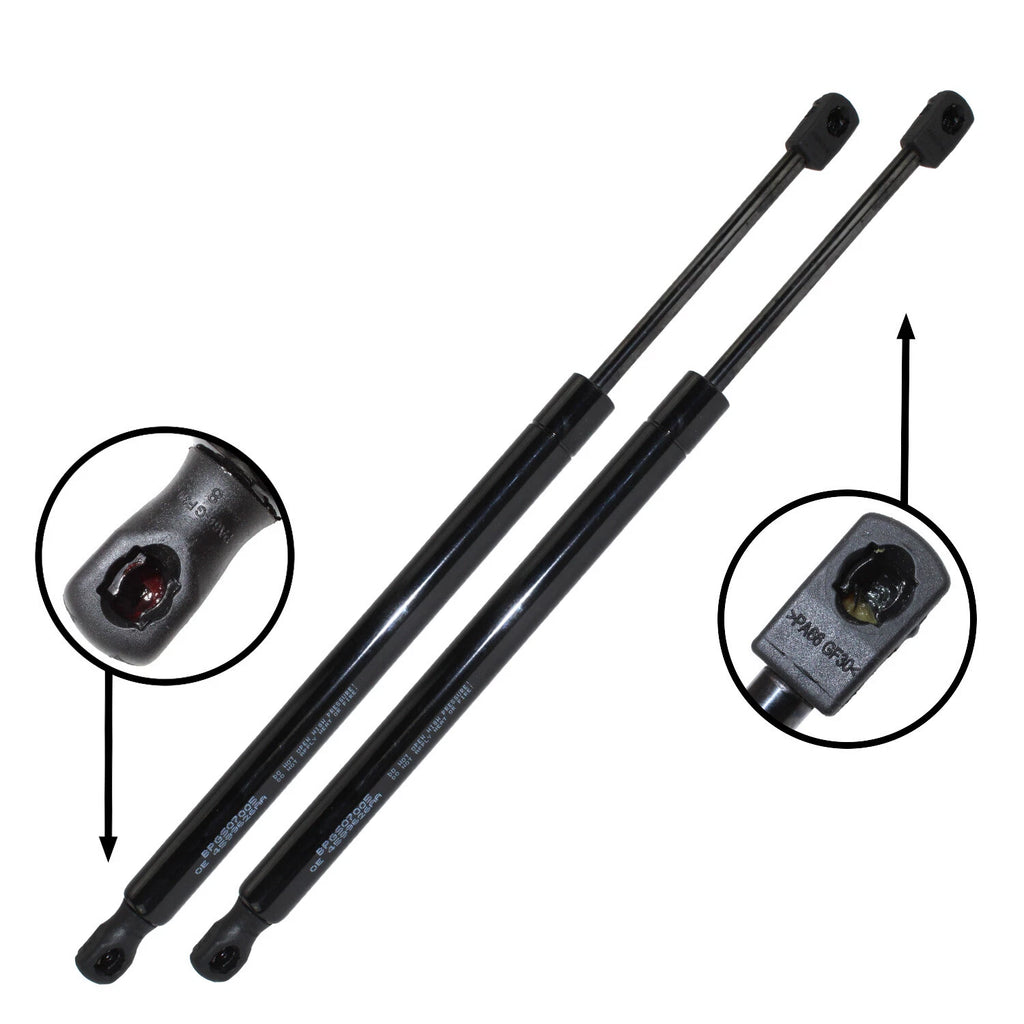 2X Gas Spring Hatch Liftgate Support for Dodge Magnum (2005–2008)