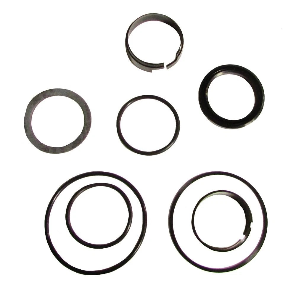 Hydraulic Cylinder Seal Kit for Case 310G Crawler (350, 430, 450, 530)