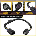 8 Pin to 6 Pin Throttle Body Adapter Harness for GM V8 Truck (2003–2007) 25383922