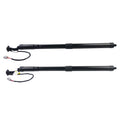 2X Rear Tailgate Gas Strut for Lexus NX300 NX300h (2018–2021)