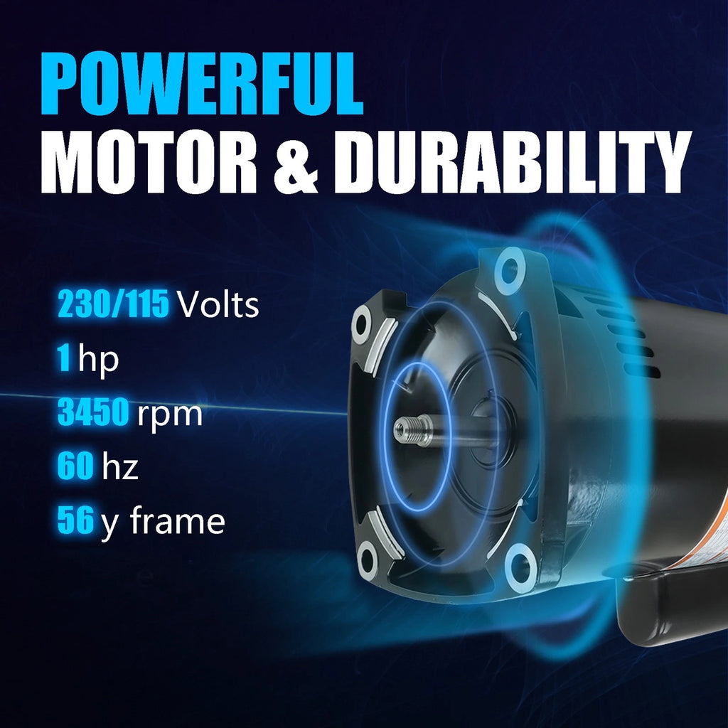 Pool Pump for Swimming Pools (B2853)