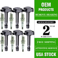 6X Ignition Coils + 6X Spark Plugs for Honda Odyssey 1999–2007 UF242