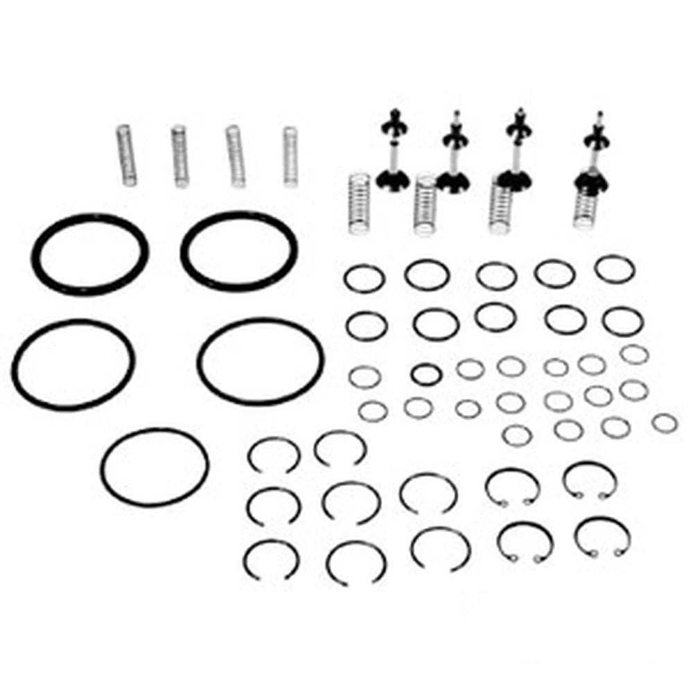 Valve & O'Ring Kit for (Repairs two Valve Chambers)