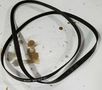 Drive Belt 940K6 for Jaguar S-Type V8 4.0L (2000–2002)