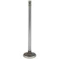 Intake Valve A-A43024-AI for