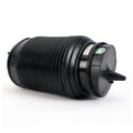 Arnott Rear Right Air Suspension Spring A-3315 for Audi