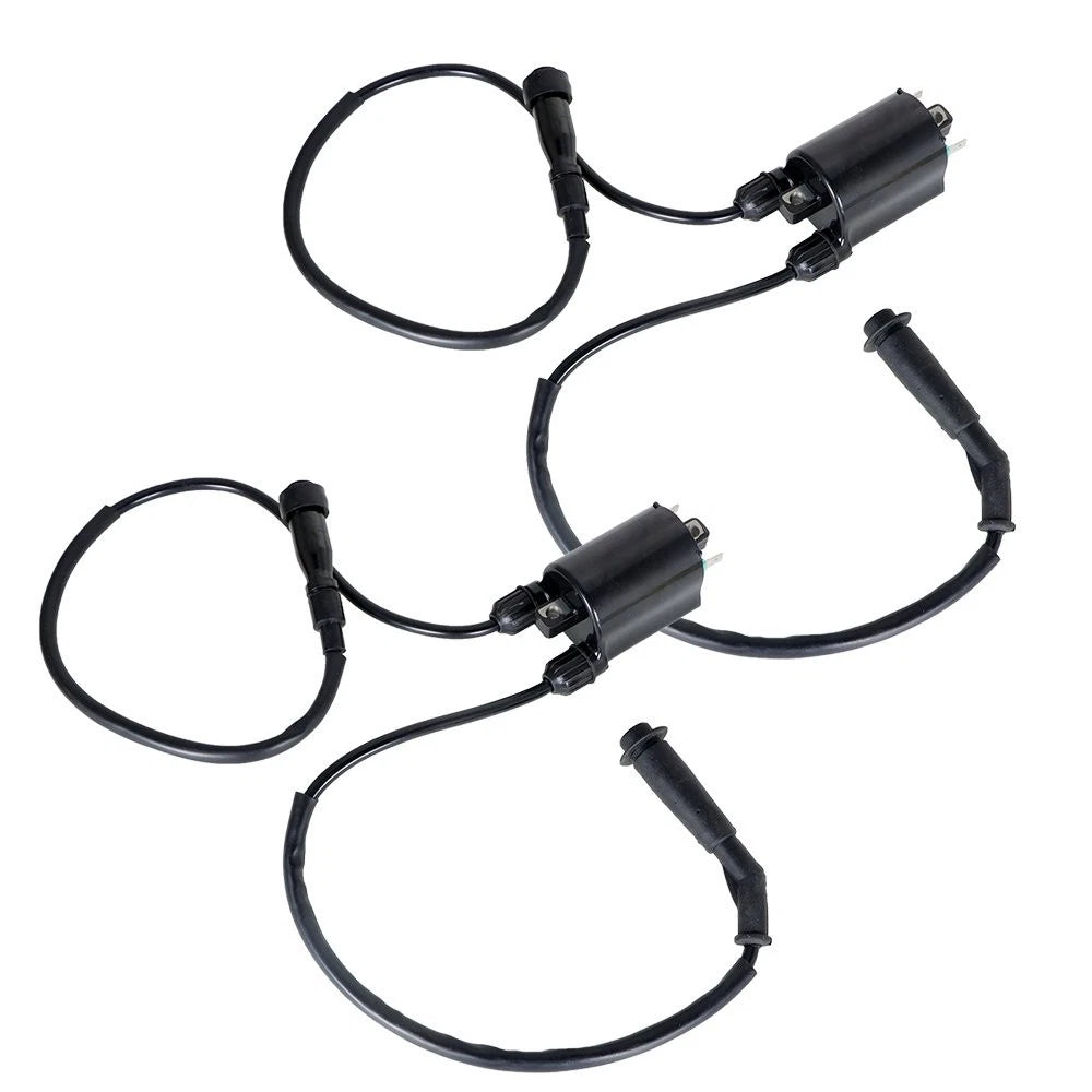 2X Ignition Coil & Spark Plug Cap for Honda Shadow VLX VT600C (1988–2007)