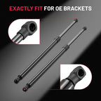 2Pcs Rear Tailgate Lift Supports Struts for Jeep Cherokee (1995–1996)