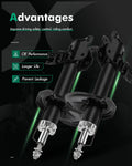 Set of 2 Front Shocks Struts for Nissan Sentra (2002–2006)
