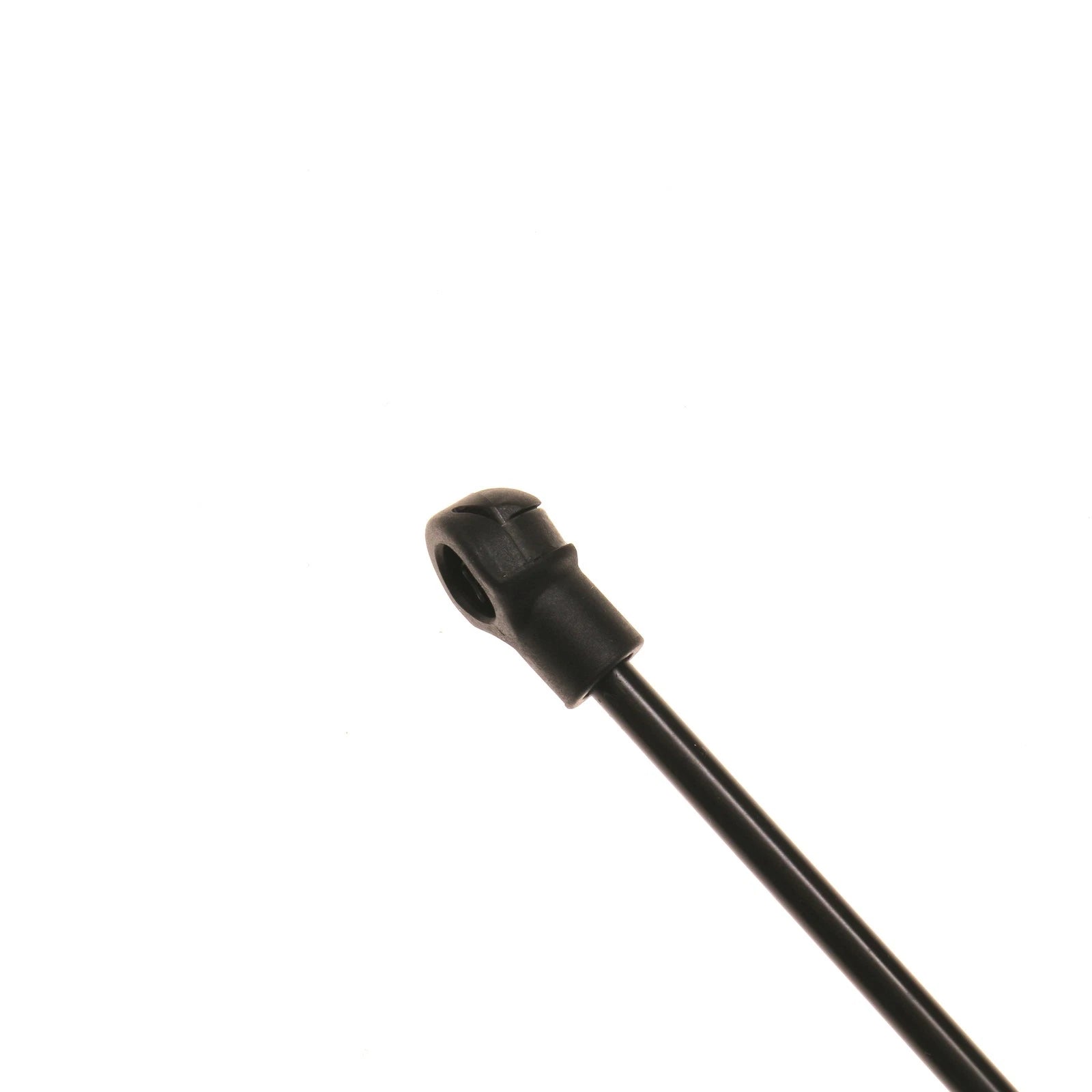 Trunk Lid Lift Support for Audi 4000 (1984-1987)