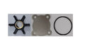 Repair Kit for Sherwood Pump G8002 (Onan 132-0395, 132-0430)