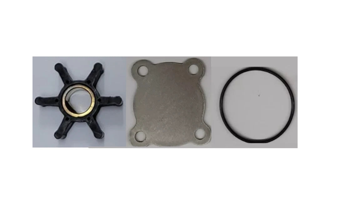 Repair Kit for Sherwood Pump G8002 (Onan 132-0395, 132-0430)
