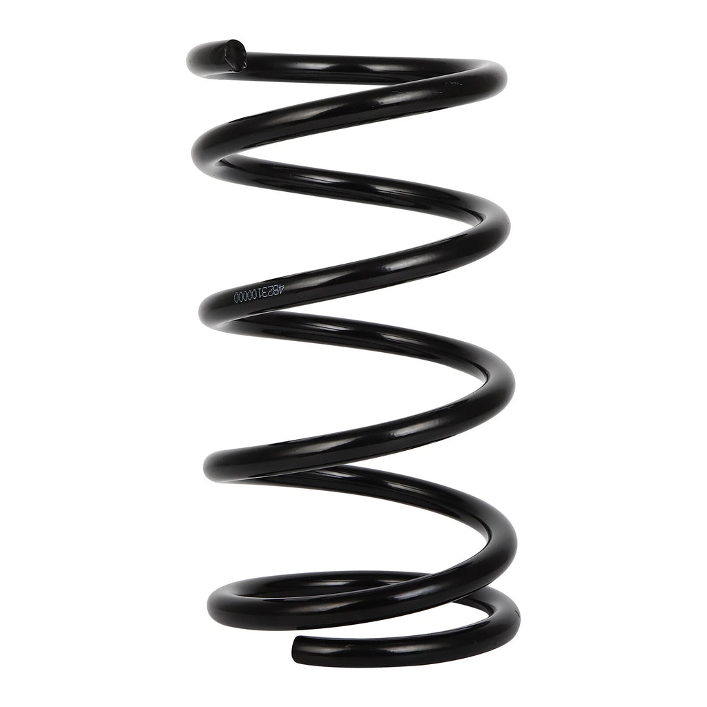 2X Rear Coil Springs for Toyota RAV4 (2001–2005)